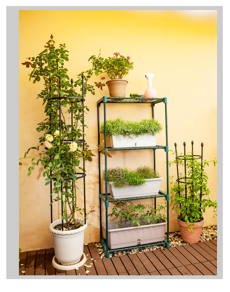 阳台花架爬藤架户外铁艺月季花支架铁线莲绿萝室内蓝雪花藤蔓支柱