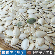 35 Free shipping)Pumpkin seeds(raw) Squirrel food Insect repellent snack food 100g