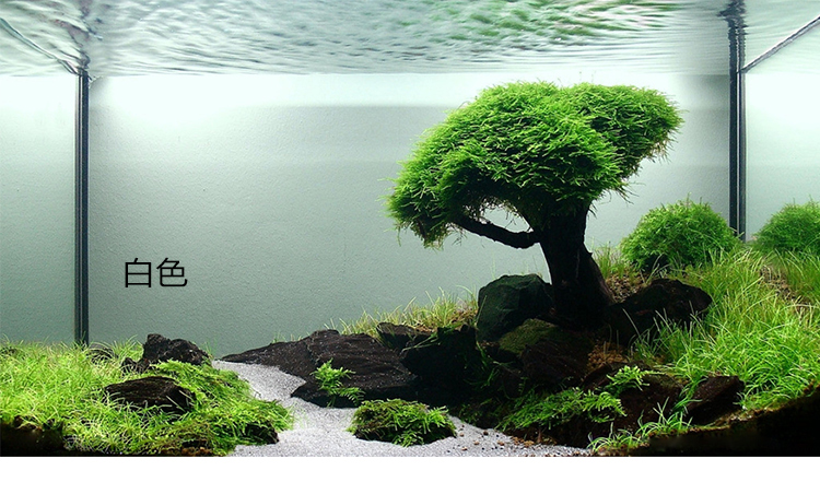专用鱼缸背景纸带胶背景纸鱼缸造景水族背景画背景图鱼缸贴纸壁纸