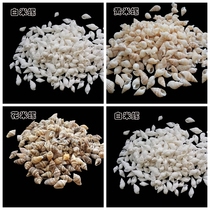 50 loaded shells sea snail millet snail 1-2 cm handmade Dried bottle of wish bottle diy material sea snail bay
