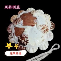 Shell Wind Suzuki Top cover with wire diameter 15 cm Line length 70 cm Manual Wind Suzuki Diy hand made material