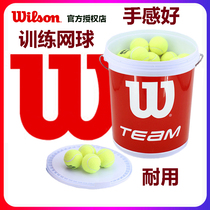 Wilson Wilson Wilson 72 red barrel professional tennis durable suitable for college students beginner training Tennis