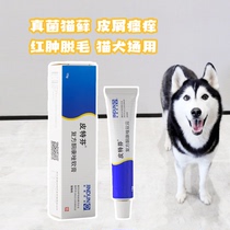 Big Fat Big Fat Gold Shield Pitt Fen Ointment Cat Dog Dermatophyte Follicle Follicles Follicles Follicles External Ointment