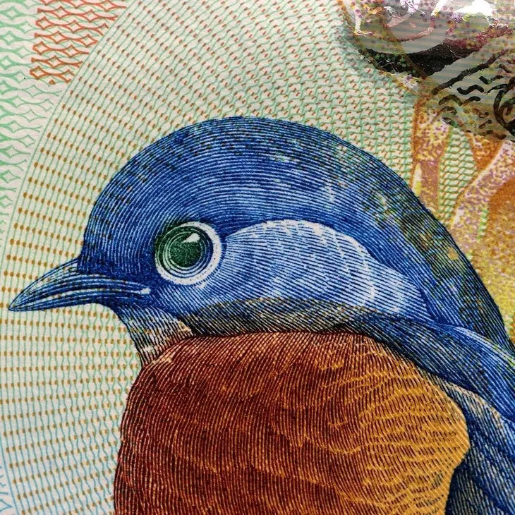 award-winning currency bermuda 2 yuan blue bird bird banknote 2009 world super us banknote p-57b