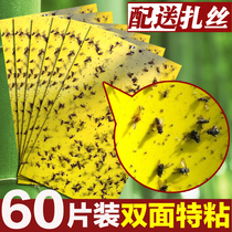 Waterproof double-sided yellow armyworm board Yellow board insect inducing board to kill small flying insects White whitefly yellow board pest control board greenhouse