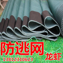 Crayfish escape-proof mesh customized 10 mesh loach eel frog crab turtle cloth thickened escape-proof membrane breeding cage