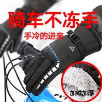 Gloves male winter riding thickened cotton to keep warm and cold male bicycle outdoor windmobile