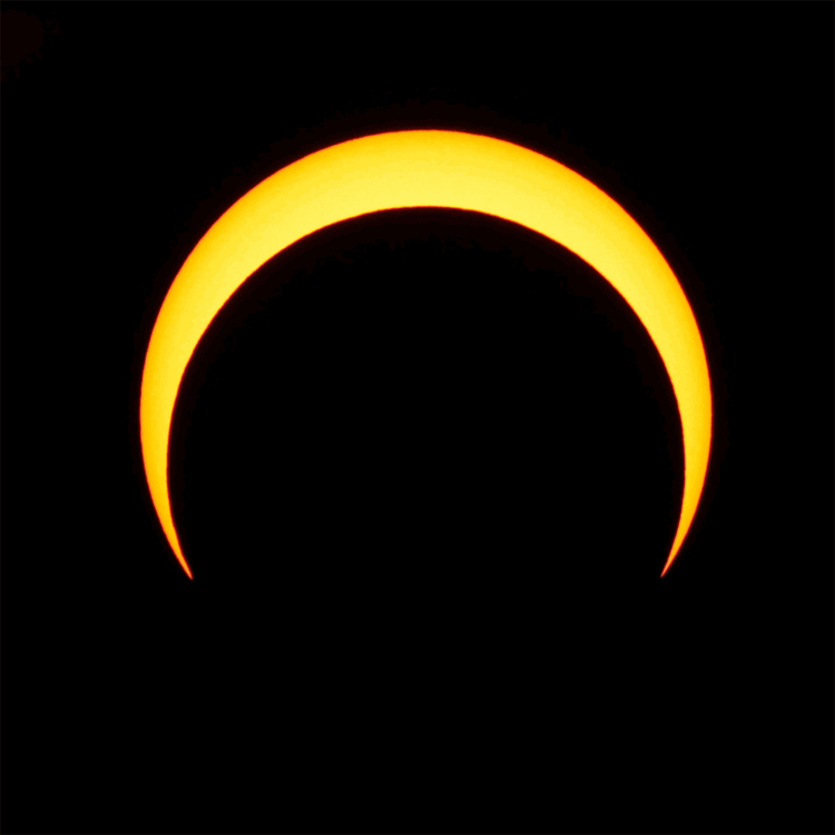 特价正品天狼魔眼狼8x40t双筒望远镜 微光夜视 送太阳盖 质保三年