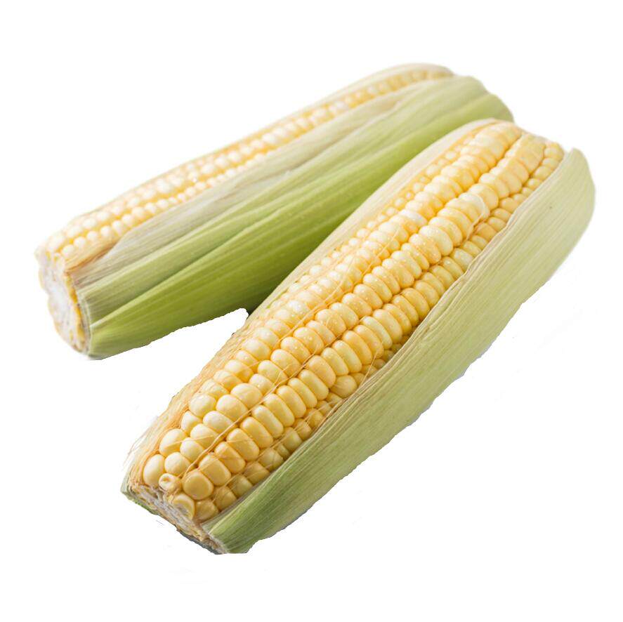 玉米新鲜水果玉米现摘现发甜玉米嫩玉米棒即食