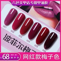 2021 new nail salon special nail polish plum color Net red style small set set plum purple