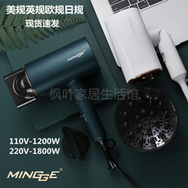 110V volt hair dryer negative ion does not hurt hair high-power portable foldable hair dryer United States Taiwan small appliances
