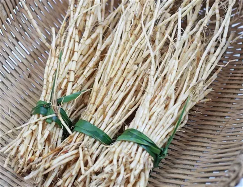 材料:白茅根1两,薏仁30公克,白米30公克,水500cc.