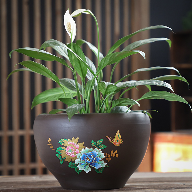 Purple sand flowerpot ceramic heavy large butterfly orchid asparagus with desktop tray was creative move money plant many flowers potted the plants