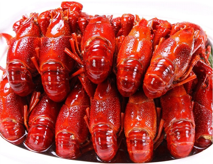 特价盱眙鲜活小龙虾789钱冷冻小龙虾冰鲜速冻小龙虾冰冻小龙虾