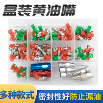 Kit straight bending butter mouth universal Oil filling suit Yellow oil gun accessories Spike Head Tips M6M8M10