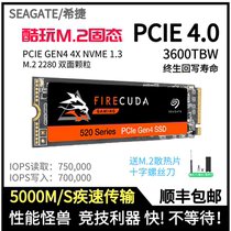 Seagate Hitier Cool Play 520 1T 500G 2T Solid M 2 Cool Fish 510 High Speed PCIE 4 0