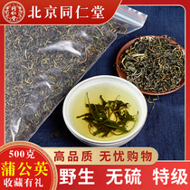 Tongrentang Dandelion Tea Dry Fresh Long White Mountain Special Grade Natural Wild Root Thong Breast female 500g