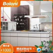 Boloni custom kitchen overall cabinet modern simple combination cabinet accessories storage custom peak time