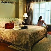 Boloni whole house custom living room bedroom space custom wardrobe storage combination set Prepaid Rome holiday