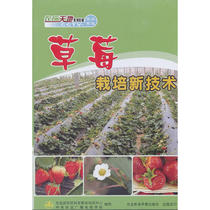 Strawberry cultivation new technology 2 DVDs disc disc video@ cultivation and planting teaching disc@