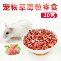 Little hamster strawberry grain Golden Bear Chinchilla guinea pig rabbit parrot snack Fruit Strawberry granule 20g