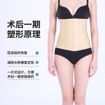 Waist-abdominal liposuction plastic swarm with liposuction postoperative waist clip Waist Clip Cashew Waist Beauty Body Waist Seal Phase II Pressurized Bunching