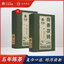 Buy one get one free Hunan Anhua authentic Jiuyang Lotus Fu Brick Tea Jinhua Black Tea boutique gift box specialty