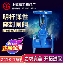 Shanghai Seiko Valve Z41X-16 open Rod soft seal gate valve elastic seat seal flange gate valve DN50-DN300