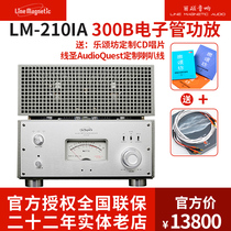 Line magnetic LM-210IA Combined bile duct machine 300B Bile duct single-ended class A