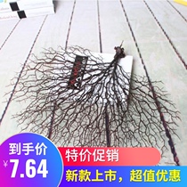 Sashimi coral tree Peacock coral plate decoration sea iron tree decoration fish tank vase Landscaping mood cold dish coral branches