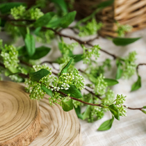 Nordic hipster Jia Cui Peak Fruit Country Wind Plastic Simulation Flower arrangement Decorative Green Plant Green Fruit