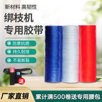 Tomato grape strapping machine tape taping vines binding paper tie branches rope nail binding gun strap