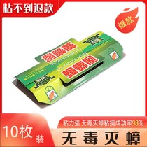 Household strong sticky cockroach house kitchen cockroach artifact sticky board catching cockroach star all House to send strong bait