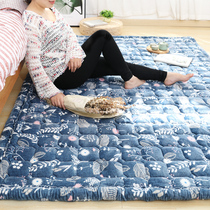 Korean plush pastoral floor mat Household full bunk crawling tatami thickened carpet bedroom bedside can be machine washed and washed