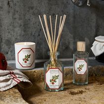 TR) official agent Carriere Freres French botanist indoor spray fragrance herbal wood