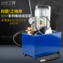 Taiyou DSY series portable electric pressure test pump ppr water pipe pressure pump Pipeline high pressure double cylinder pressure measuring machine