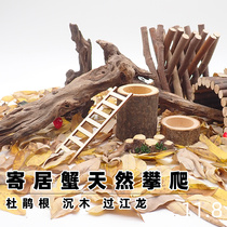 Cuckoo root host crab climbing building with natural natural styling beautiful and sunken wood decorated with small vat to avoid fish tank branches
