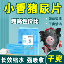 Small Fragrant Pig Urine Mat Pet Pig Urine Not Wet Water Absorbent Urine Fecal Shit Mat Clean Thai Dutch Little Fragrant Pig Supplies