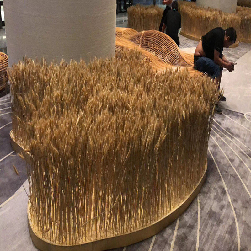 干花小麦稻穗天然麦穗真正麦子大麦杂粮橱窗农家乐装饰拍摄道具