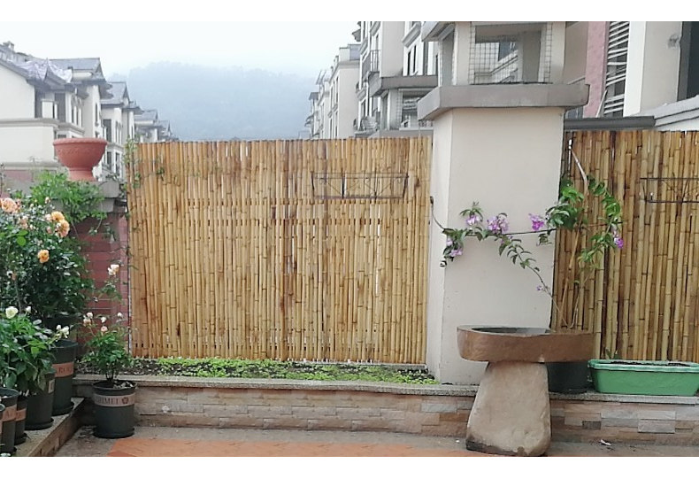 竹篱笆竹栅栏竹帘围栏竹排装饰庭院隔断挡墙屏风日式花园竹竿竹子