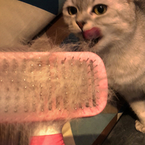 Dog comb Pet comb Needle comb Large medium and small dog hair comb Golden hair Teddy cat comb Dog supplies