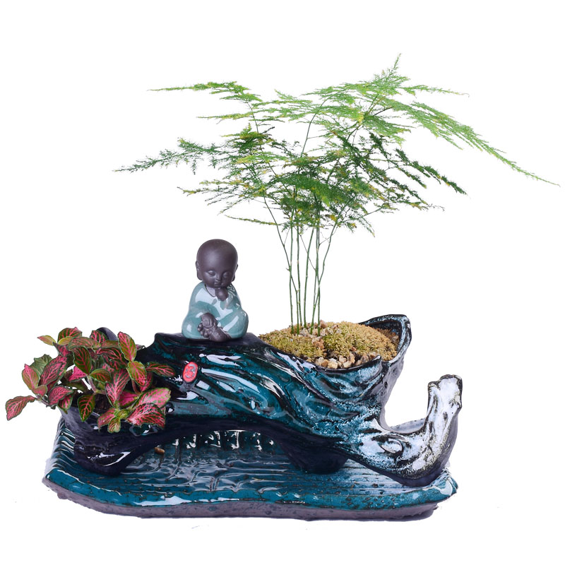 The New Chinese zen flowerpot creative young monk asparagus bonsai home, green potted meat more ceramic POTS of the plants