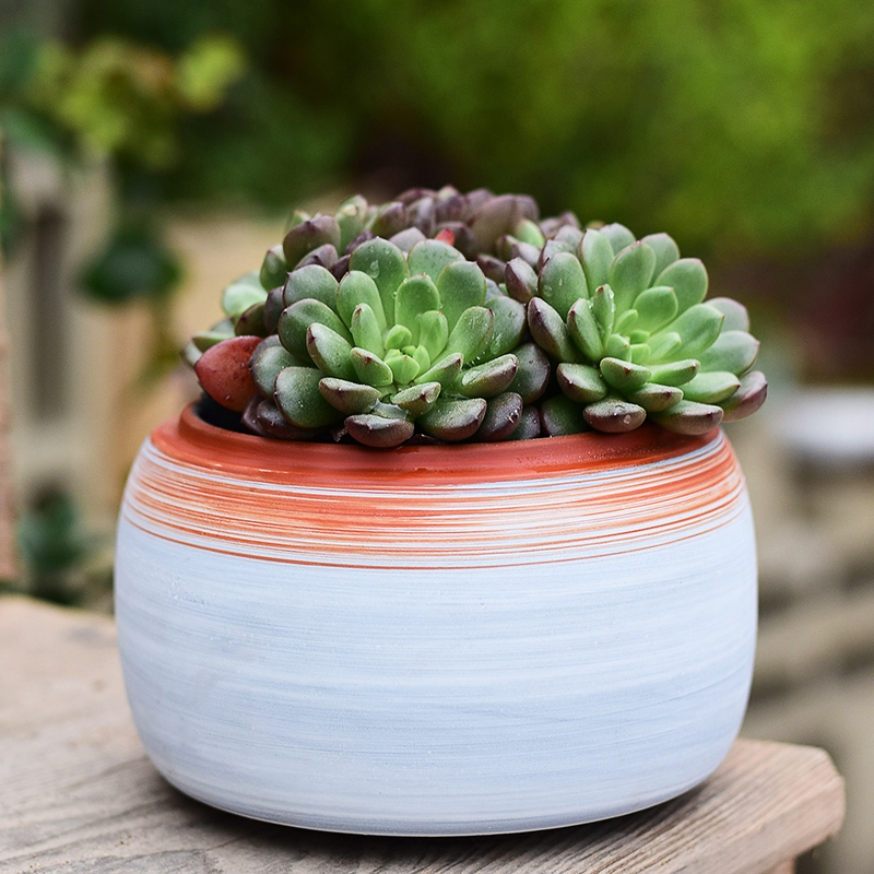 New Chinese style brilliantly coloured purple sand flowerpot more meat ceramic creative green plant household meat meat plant coarse pottery breathable small basin