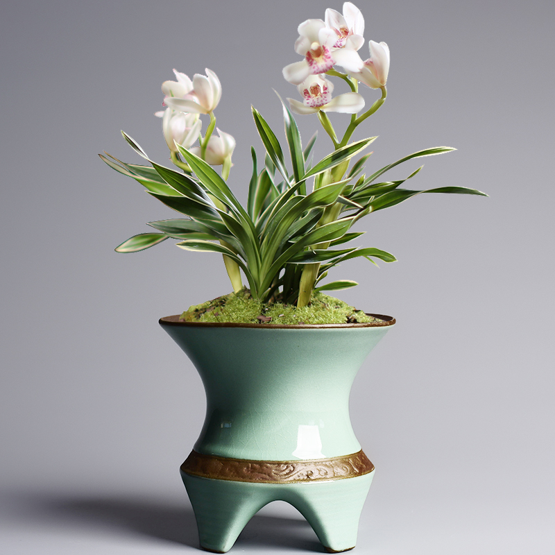 Chinese wind fleshy pot ceramic creative household the plants potted bracketplant flowerpot small butterfly orchid special rich tree