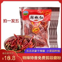 Farm garden Red pepper oil special spicy special fragrant dried pepper specialty pepper noodles pepper dry shot five