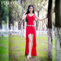 Belly dance V-neck practice costume goddess autumn and winter dress wavy skirt modal performance suit X01