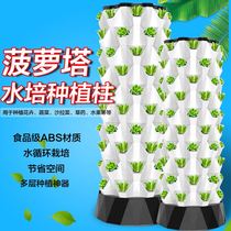 Vegetable Tata Pineapple Tower No Soil Cultivated Mist facilities Vegetables Grow Vegetable theorizer Home High efficiency Vegetable Dishes