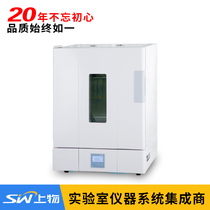 Shanghai Yiheng BPG-9056A 9106A 9156A Precision Blower Drying Box Electric Thermal Temperature oven