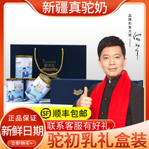 Hump Xinjiang Zhengzong Authentic Camel Milk Powder Colostrum 120g * 4 cans of gift box clothes small blue jar aged adult children