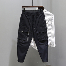 Pants mens Korean version of the trend autumn new fashion brand Joker casual workwear loose small straight print trousers